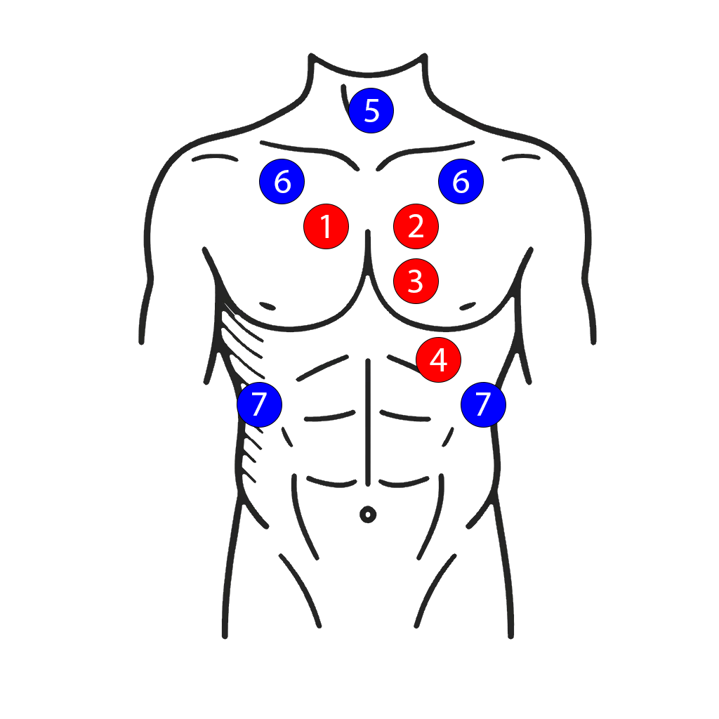 Anterior